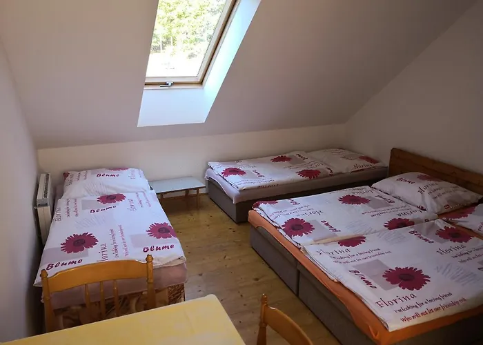 Apartmán U Máchova Jezera - - Ludmila Grulišová